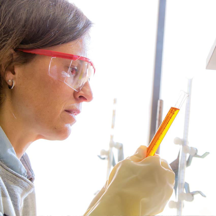 Assurance Qualité - olaizola calidad 1