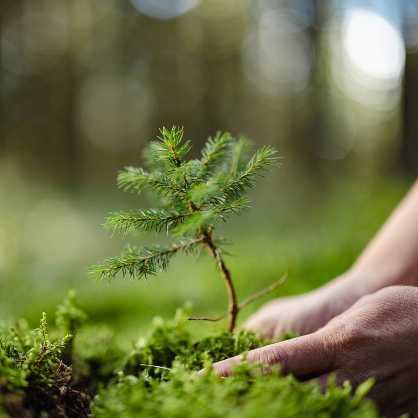 Assurance Qualité - olaizola medioambiente