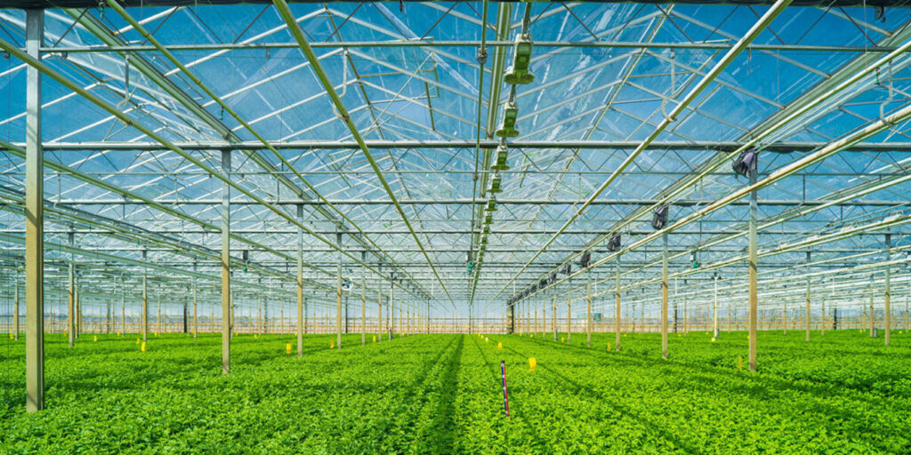 Marchés et Secteurs - olaizola sectores 7